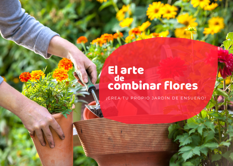 El arte de combinar flores Crea tu propio jardín de ensueño Eurogarden